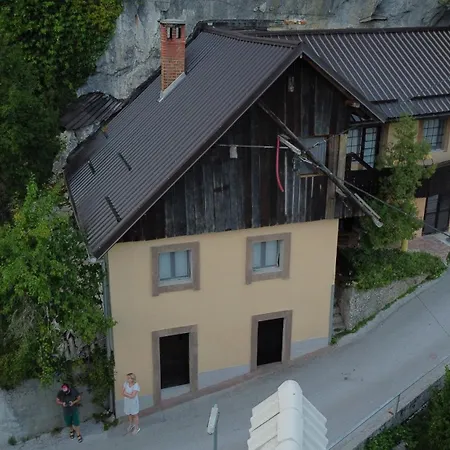 Mountain Rock * ブレッド