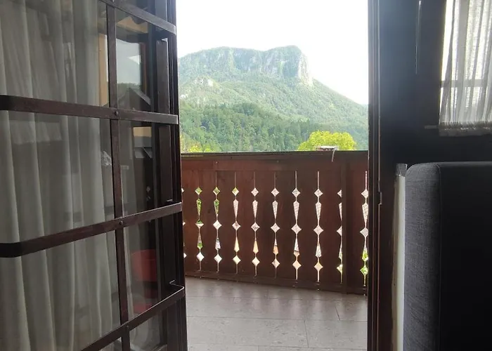 Mountain Rock Daire *